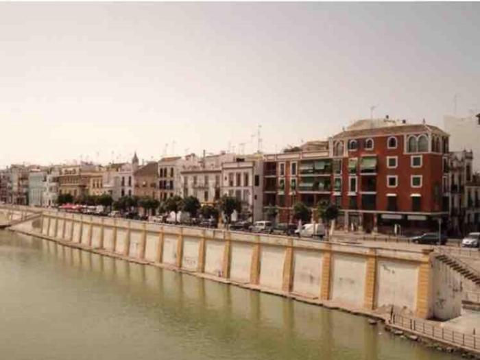 La Luz De Triana Apartamento 3 Dormitorios セビリア エクステリア 写真